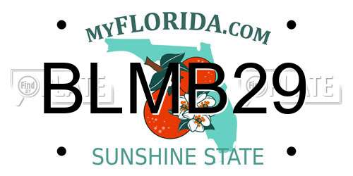 BLMB29 Florida License Plate