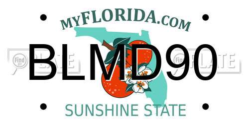 BLMD90 Florida License Plate