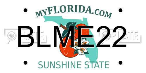 BLME22 Florida License Plate