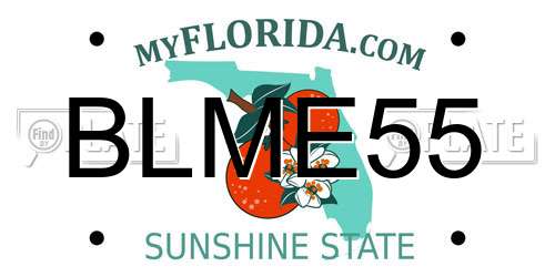 BLME55 Florida License Plate