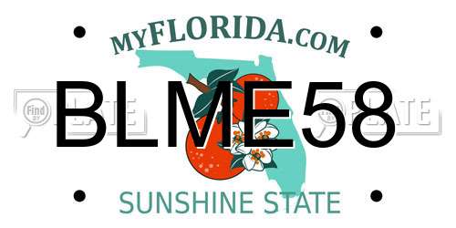 BLME58 Florida License Plate