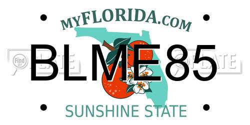 BLME85 Florida License Plate