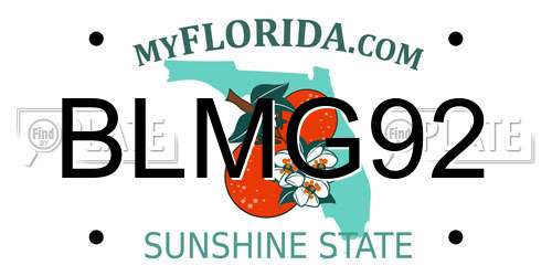 BLMG92 Florida License Plate