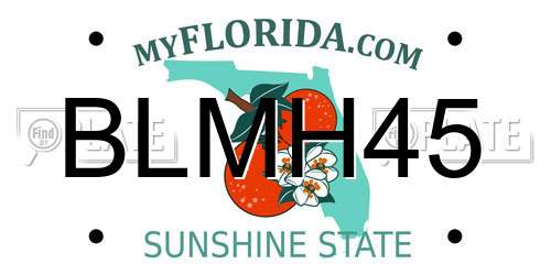 BLMH45 Florida License Plate