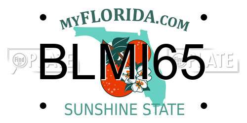 BLMI65 Florida License Plate