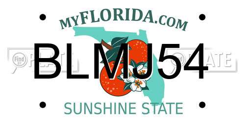 BLMJ54 Florida License Plate