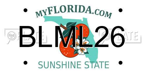 BLML26 Florida License Plate