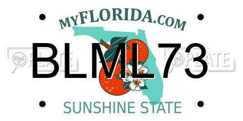 BLML73 Florida License Plate