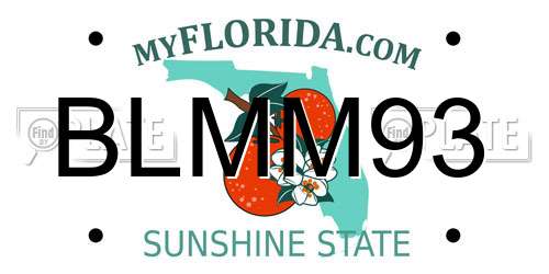 BLMM93 Florida License Plate