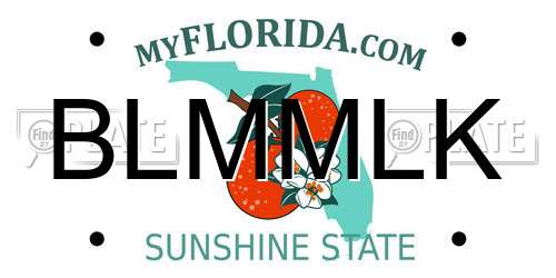 BLMMLK Florida License Plate