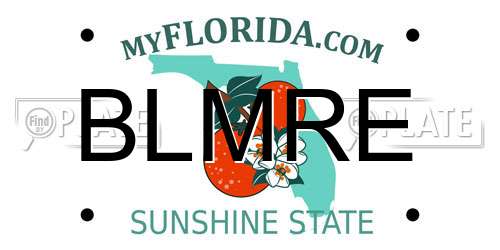 BLMRE Florida License Plate