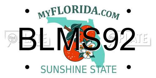 BLMS92 Florida License Plate