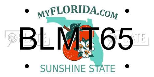 BLMT65 Florida License Plate