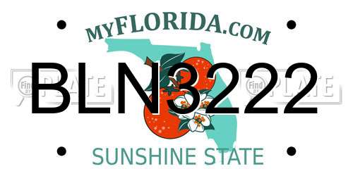 BLN3222 Florida License Plate