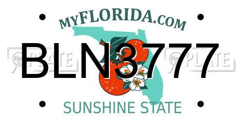 BLN3777 Florida License Plate