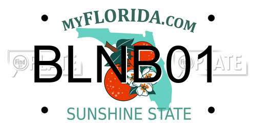 BLNB01 Florida License Plate