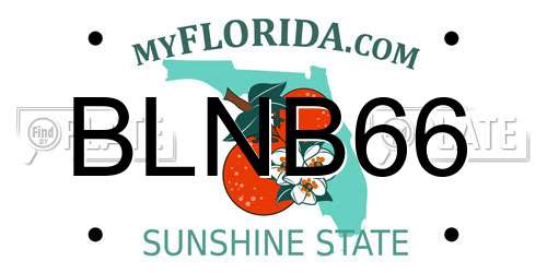 BLNB66 Florida License Plate