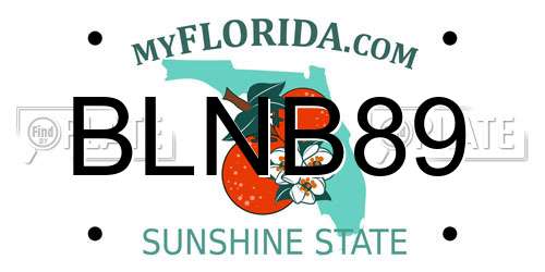 BLNB89 Florida License Plate