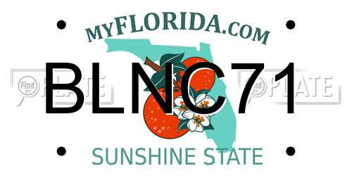 BLNC71 Florida License Plate