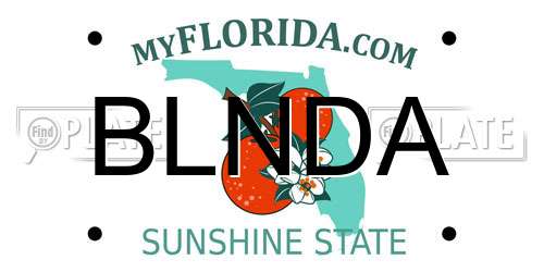BLNDA Florida License Plate