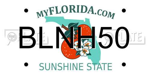 BLNH50 Florida License Plate