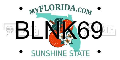 BLNK69 Florida License Plate