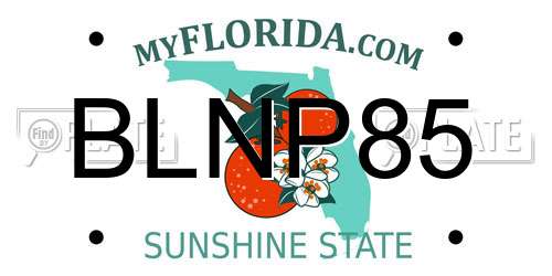 BLNP85 Florida License Plate