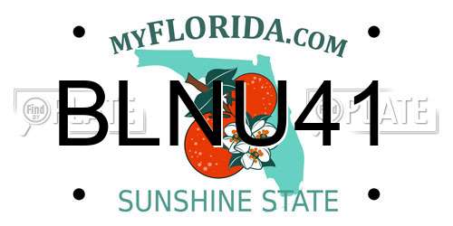 BLNU41 Florida License Plate