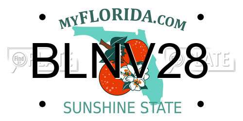 BLNV28 Florida License Plate