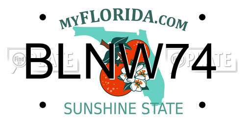 BLNW74 Florida License Plate