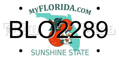 BLO2289 Florida License Plate