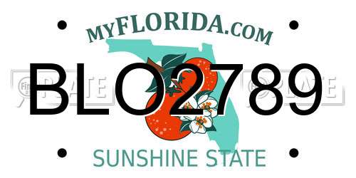 BLO2789 Florida License Plate