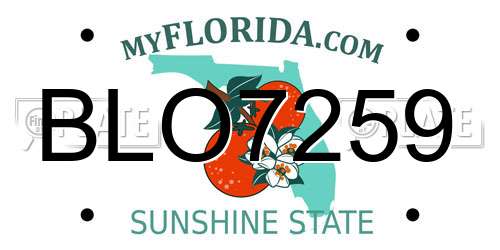 BLO7259 Florida License Plate