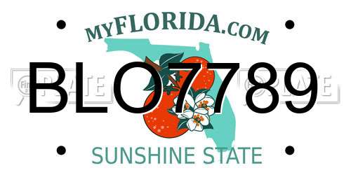 BLO7789 Florida License Plate