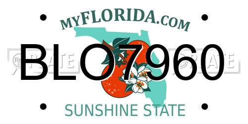 BLO7960 Florida License Plate
