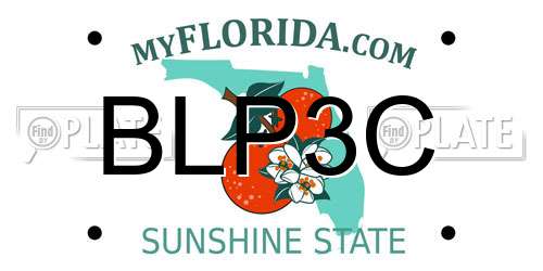 BLP3C Florida License Plate