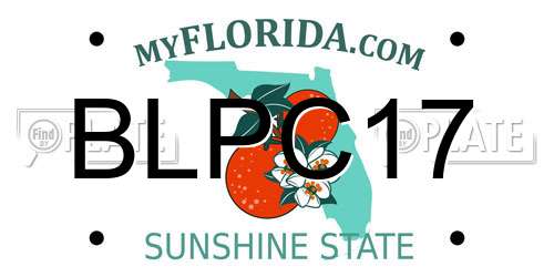 BLPC17 Florida License Plate