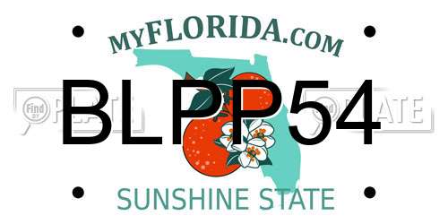BLPP54 Florida License Plate