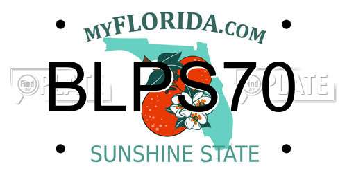 BLPS70 Florida License Plate
