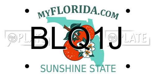 BLQ1J Florida License Plate