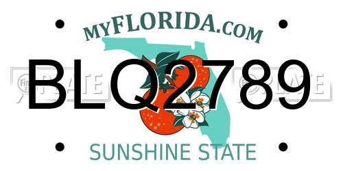 BLQ2789 Florida License Plate