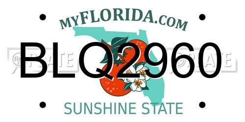 BLQ2960 Florida License Plate