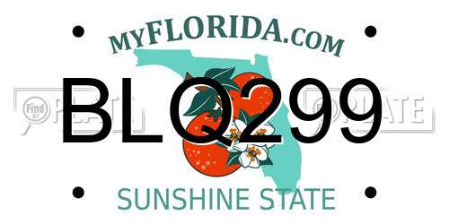 BLQ299 Florida License Plate