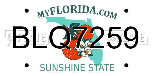 BLQ7259 Florida License Plate