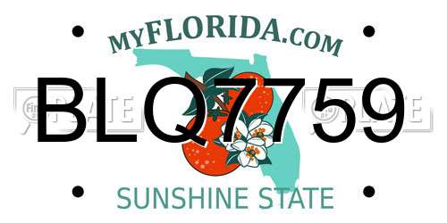 BLQ7759 Florida License Plate
