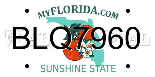 BLQ7960 Florida License Plate