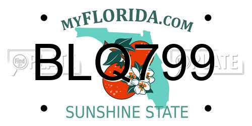 BLQ799 Florida License Plate