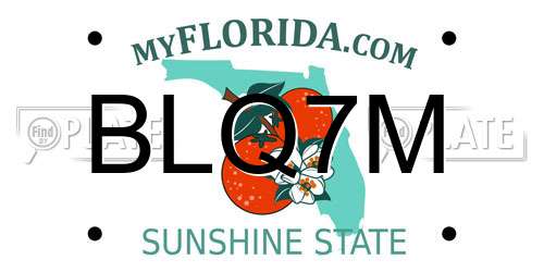 BLQ7M Florida License Plate