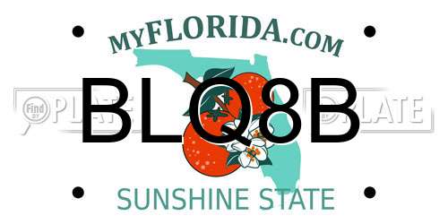 BLQ8B Florida License Plate