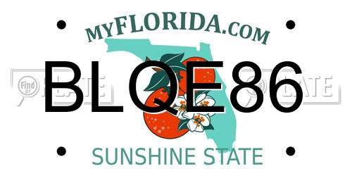 BLQE86 Florida License Plate